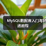 MySQL数据库入门与精通教程（图1）