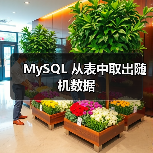 MySQL 从表中取出随机数据(图1) MySQL 从表中取出随机数据(图1)