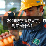 2020数字医疗火了，它到底是什么？（图2）
