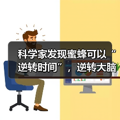 科学家发现蜜蜂可以“逆转时间”,逆转大脑衰老(图3) 科学家发现蜜蜂可以“逆转时间”,逆转大脑衰老(图3)