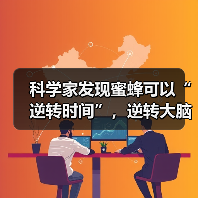 科学家发现蜜蜂可以“逆转时间”,逆转大脑衰老(图2) 科学家发现蜜蜂可以“逆转时间”,逆转大脑衰老(图2)