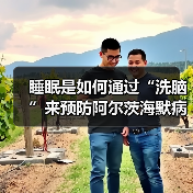 睡眠是如何通过“洗脑”来预防阿尔茨海默病的（图4）
