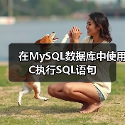 在MySQL数据库中使用C执行SQL语句（图4）
