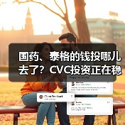 国药、泰格的钱投哪儿去了?CVC投资正在稳步增长(图2) 国药、泰格的钱投哪儿去了?CVC投资正在稳步增长(图2)