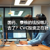 国药、泰格的钱投哪儿去了?CVC投资正在稳步增长(图3) 国药、泰格的钱投哪儿去了?CVC投资正在稳步增长(图3)