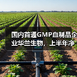 国内首通GMP血制品企业华兰生物，上半年净利润同比增长0.94%（图4）