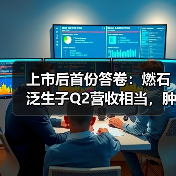 上市后首份答卷:燃石泛生子Q2营收相当,肿瘤NGS行业加速洗牌(图2) 上市后首份答卷:燃石泛生子Q2营收相当,肿瘤NGS行业加速洗牌(图2)