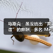 马斯克：虽没给出“离谱”的薪酬，多名 Meta 工程师正加入 xAI（图3）