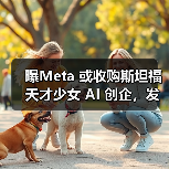 曝Meta 或收购斯坦福天才少女 AI 创企,发力视频生成(图3) 曝Meta 或收购斯坦福天才少女 AI 创企,发力视频生成(图3)