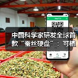 中国科学家研发全球首款“蚕丝硬盘”：可植入人体（图1）
