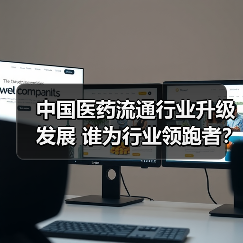 中国医药流通行业升级发展 谁为行业领跑者?(图2) 中国医药流通行业升级发展 谁为行业领跑者?(图2)