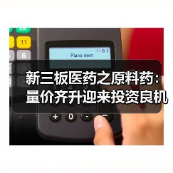 新三板医药之原料药：量价齐升迎来投资良机（图2）