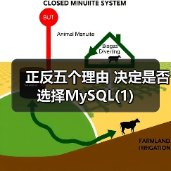 正反五个理由 决定是否选择MySQL(1)（图2）