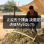正反五个理由 决定是否选择MySQL(1)（图4）