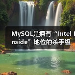 MySQL是拥有“Intel Inside”地位的杀手级数据库应用吗(图4) MySQL是拥有“Intel Inside”地位的杀手级数据库应用吗(图4)
