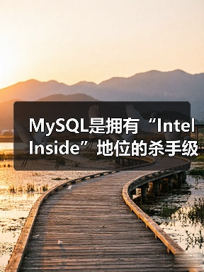 MySQL是拥有“Intel Inside”地位的杀手级数据库应用吗(图2) MySQL是拥有“Intel Inside”地位的杀手级数据库应用吗(图2)