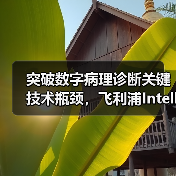 突破数字病理诊断关键技术瓶颈，飞利浦IntelliSite平台亮相CHINC 2020（图2）