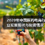 2020年中国医药电商行业发展现状与融资情况分析（图2）