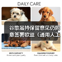 谷歌虽持保留意见仍同意签署欧盟《通用人工智能行为准则》，此前 Meta 拒签（图2）