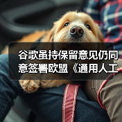 谷歌虽持保留意见仍同意签署欧盟《通用人工智能行为准则》，此前 Meta 拒签（图3）