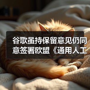 谷歌虽持保留意见仍同意签署欧盟《通用人工智能行为准则》，此前 Meta 拒签（图4）