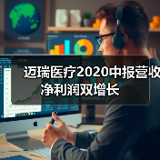 迈瑞医疗2020中报营收净利润双增长（图2）