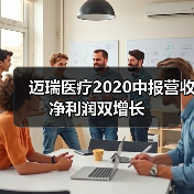 迈瑞医疗2020中报营收净利润双增长（图4）