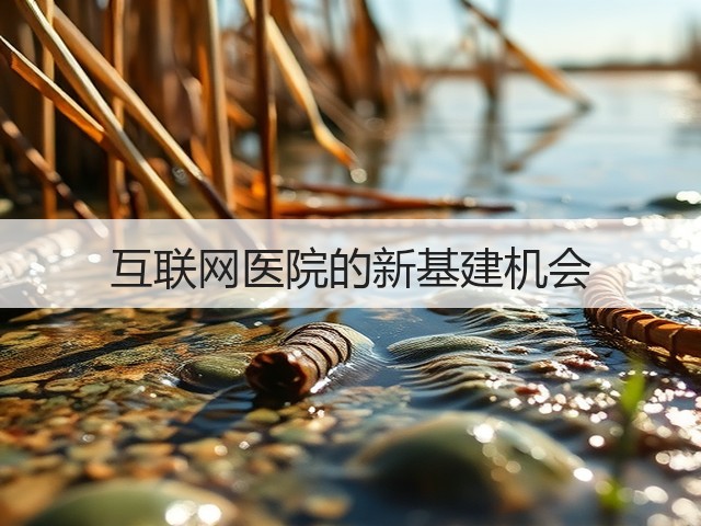 互联网医院的新基建机会(图1) 互联网医院的新基建机会(图1)