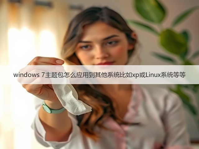 windows 7主题包怎么应用到其他系统比如xp或Linux系统等等(图1)