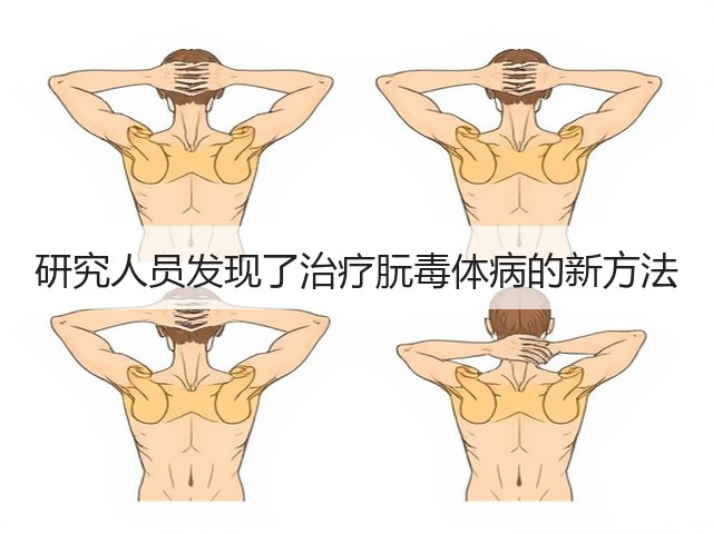 研究人员发现了治疗朊毒体病的新方法(图2)