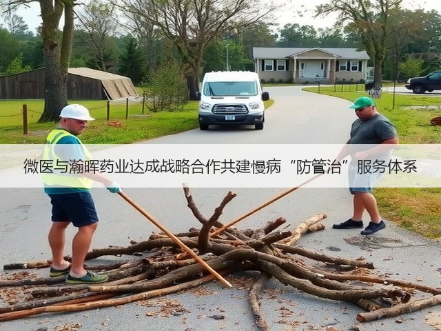 微医与瀚晖药业达成战略合作共建慢病“防管治”服务体系(图3)