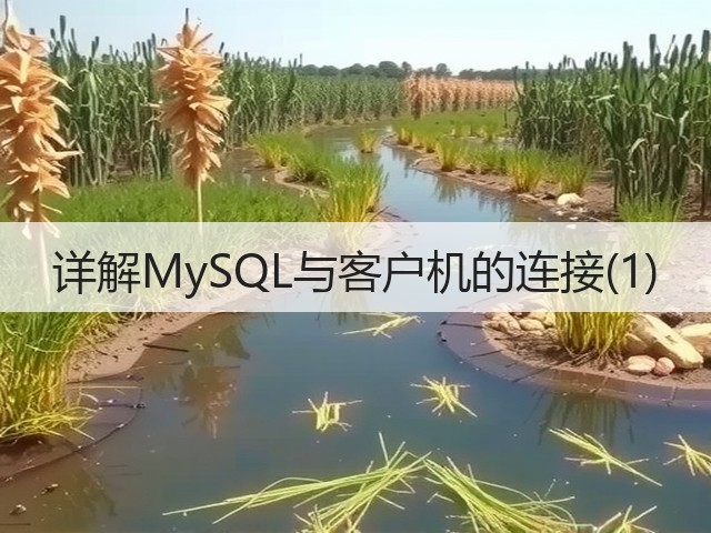 详解MySQL与客户机的连接(1)(图2)