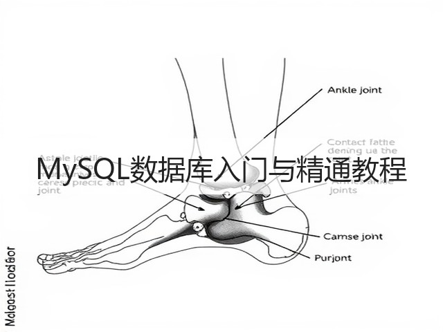 MySQL数据库入门与精通教程(图1)