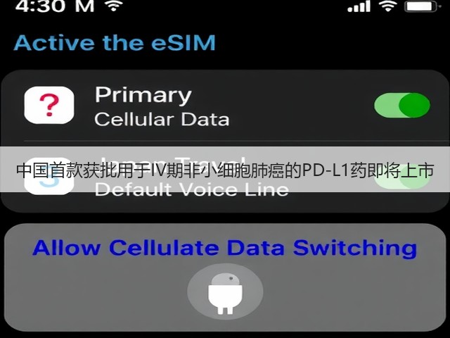 中国首款获批用于IV期非小细胞肺癌的PD-L1药即将上市(图2) 中国首款获批用于IV期非小细胞肺癌的PD-L1药即将上市(图2)