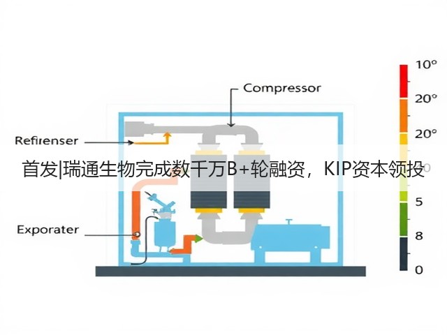 首发|瑞通生物完成数千万B+轮融资，KIP资本领投(图3)