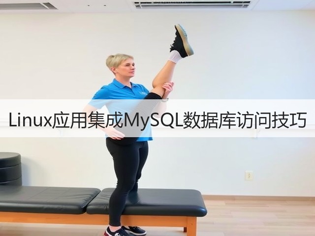 Linux应用集成MySQL数据库访问技巧(图3)