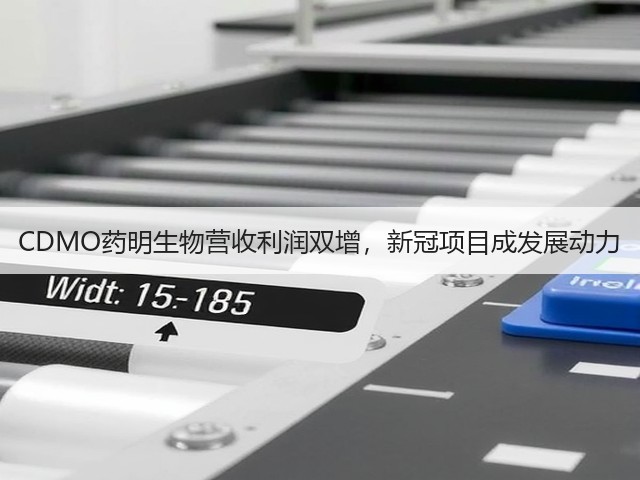 CDMO药明生物营收利润双增，新冠项目成发展动力(图3)