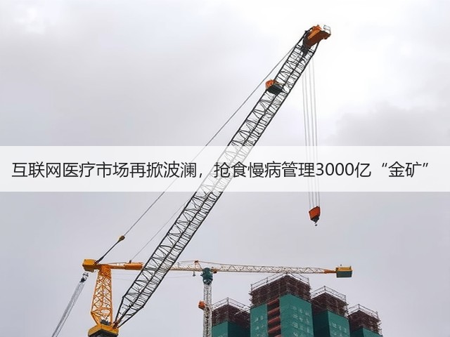 互联网医疗市场再掀波澜，抢食慢病管理3000亿“金矿”(图3)