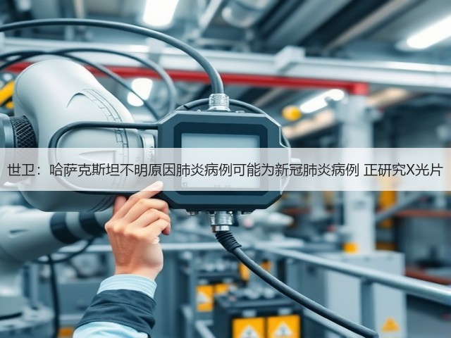 世卫：哈萨克斯坦不明原因肺炎病例可能为新冠肺炎病例 正研究X光片(图3)