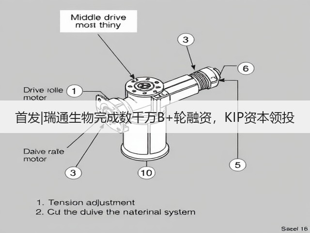 首发|瑞通生物完成数千万B+轮融资，KIP资本领投(图1)
