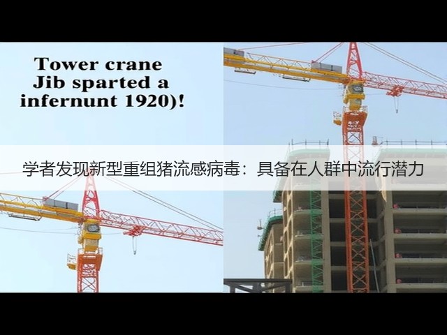 学者发现新型重组猪流感病毒：具备在人群中流行潜力(图3)
