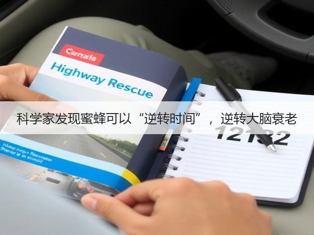科学家发现蜜蜂可以“逆转时间”，逆转大脑衰老(图1)