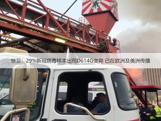 世卫：29%新冠病毒样本出现D614G变异 已在欧洲及美洲传播(图1)