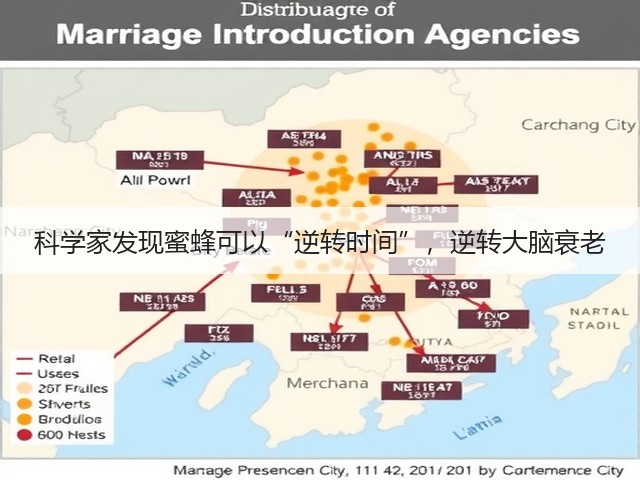 科学家发现蜜蜂可以“逆转时间”，逆转大脑衰老(图2)