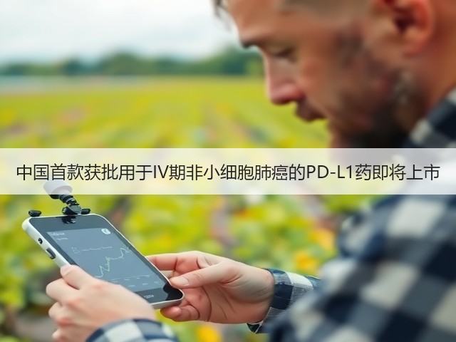 中国首款获批用于IV期非小细胞肺癌的PD-L1药即将上市(图3) 中国首款获批用于IV期非小细胞肺癌的PD-L1药即将上市(图3)