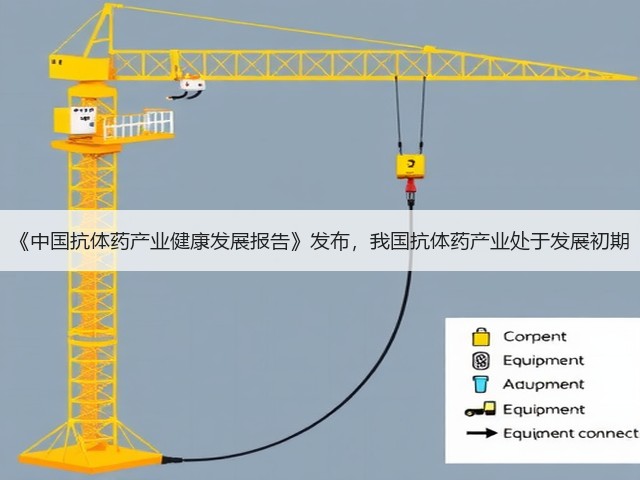 《中国抗体药产业健康发展报告》发布，我国抗体药产业处于发展初期(图3)