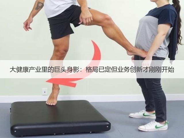 大健康产业里的巨头身影：格局已定但业务创新才刚刚开始(图2)
