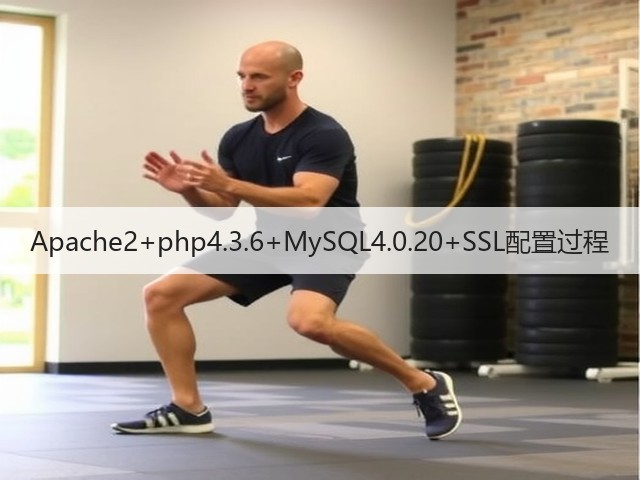 Apache2+php4.3.6+MySQL4.0.20+SSL配置过程(图3)