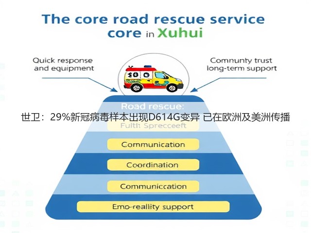 世卫：29%新冠病毒样本出现D614G变异 已在欧洲及美洲传播(图2)
