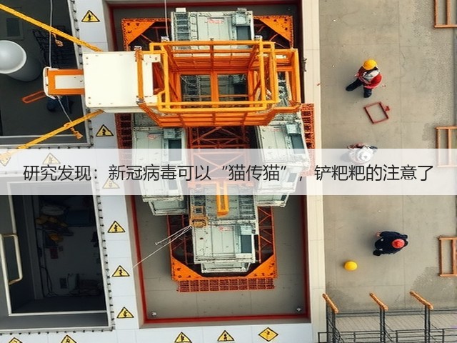 研究发现:新冠病毒可以“猫传猫”,铲粑粑的注意了(图2) 研究发现:新冠病毒可以“猫传猫”,铲粑粑的注意了(图2)